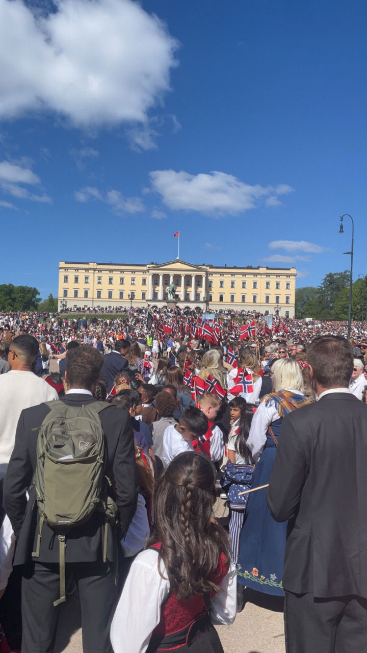 en stor gruppe mennesker utenfor slottet