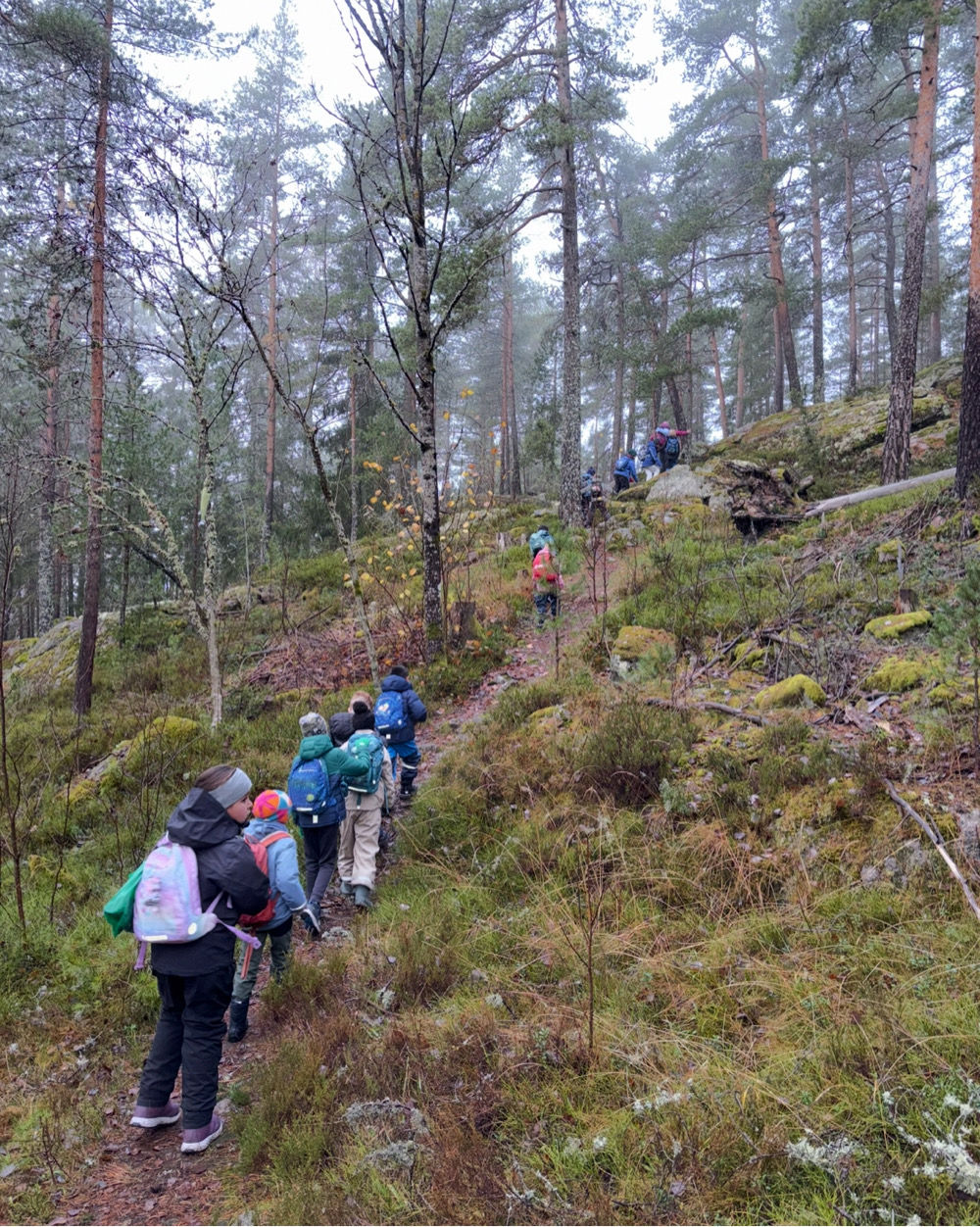 En gruppe mennesker som vandrer i skogen
