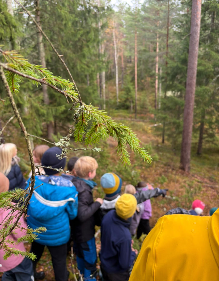 En gruppe mennesker i skogen