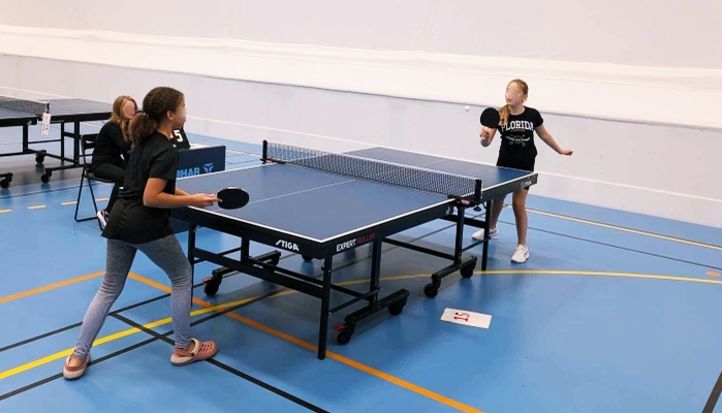 Bordtennisturnering