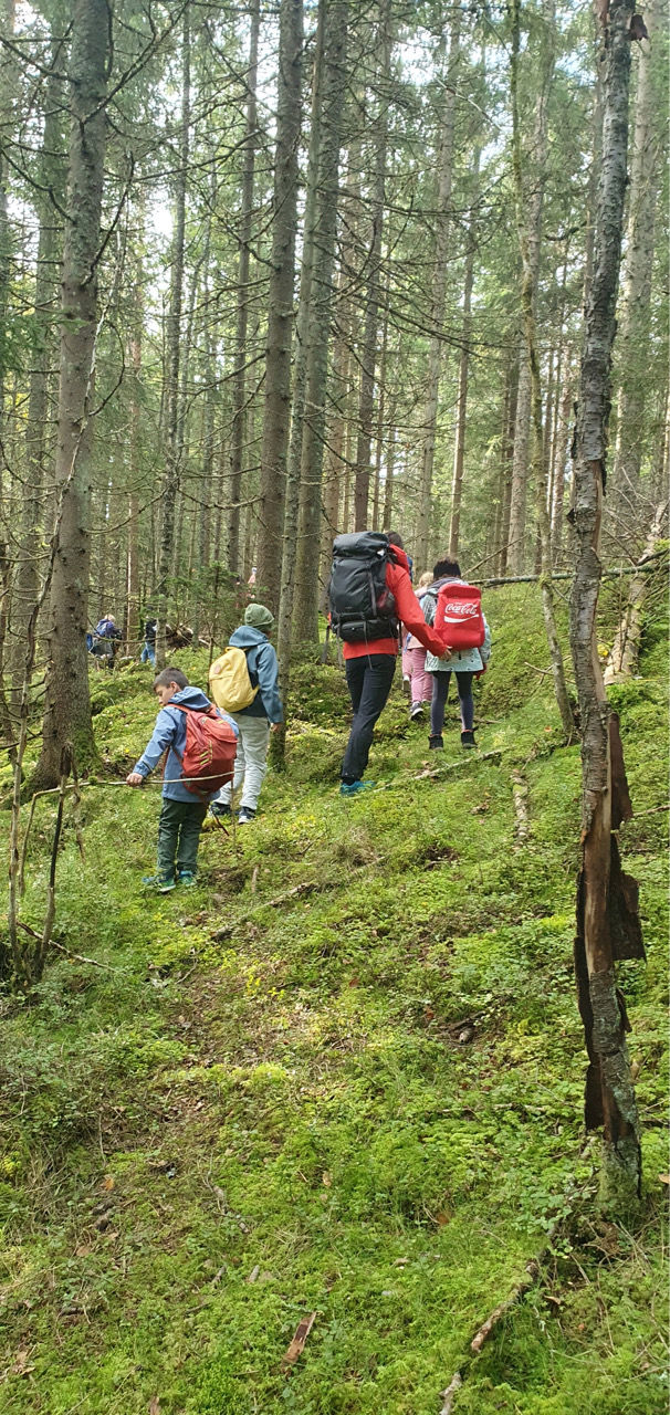 Sniking i skogen