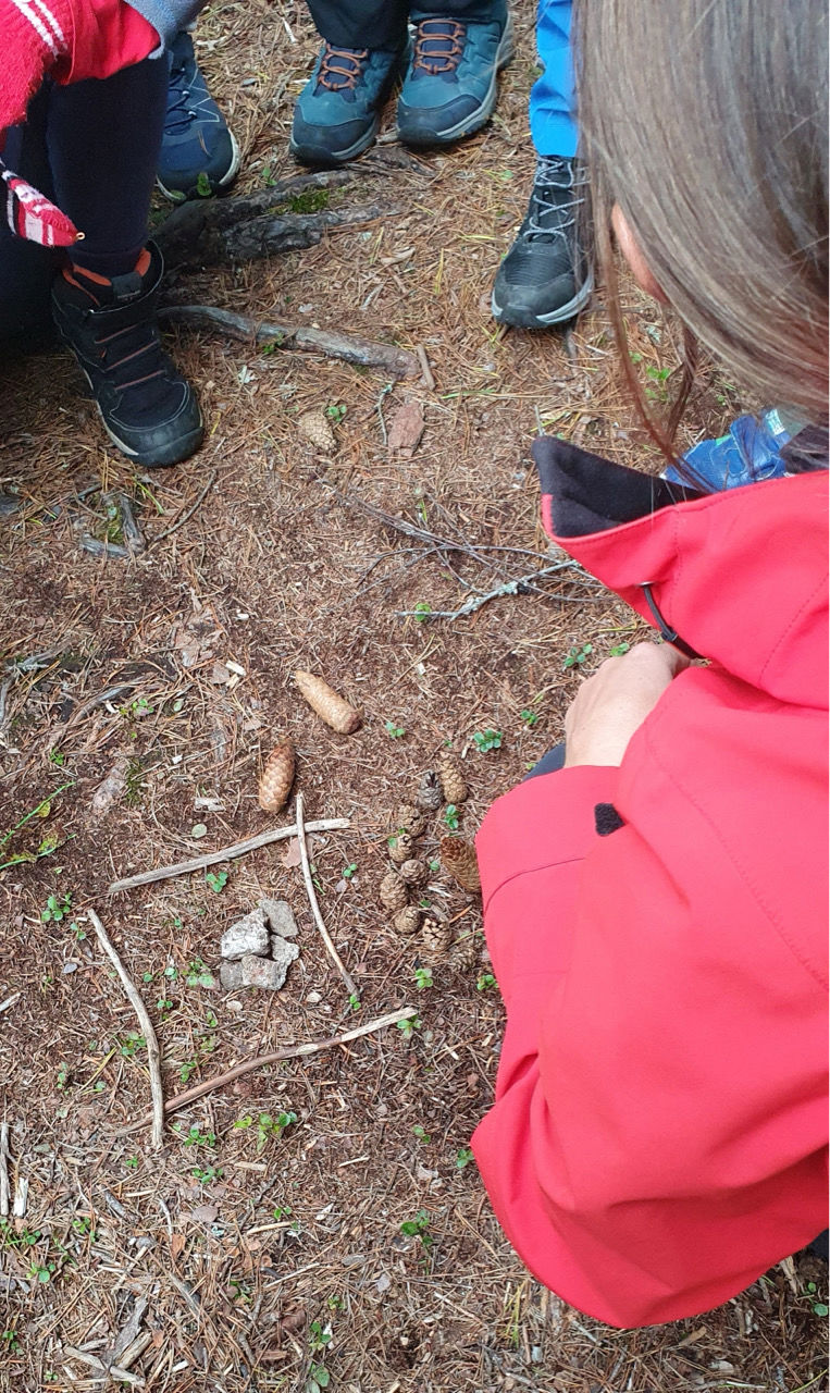 Naturkunst!