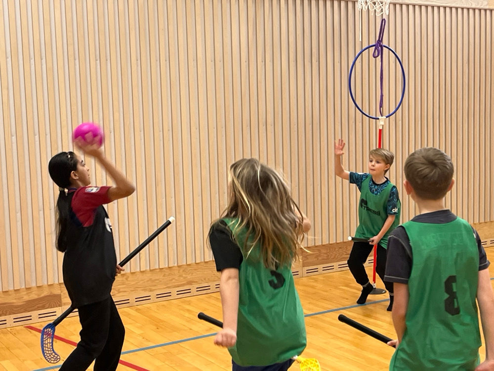 en gruppe barn som spiller basketball