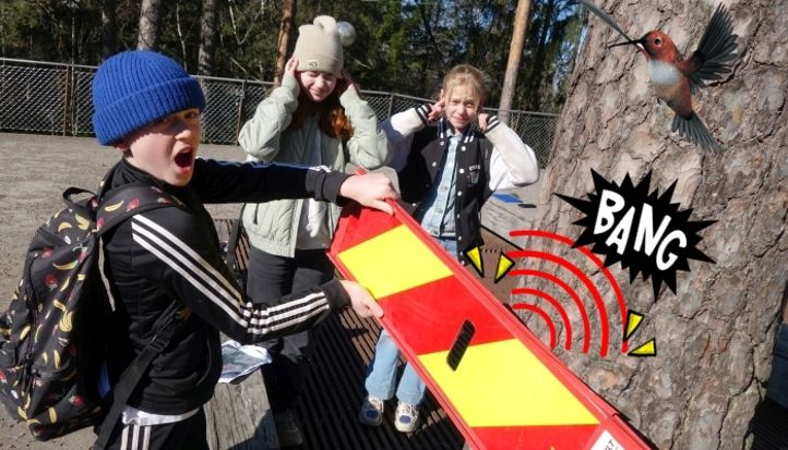Kongen befaler
