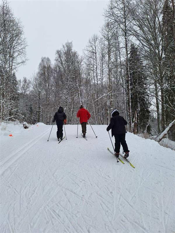 En gruppe mennesker som står på ski ned en skråning