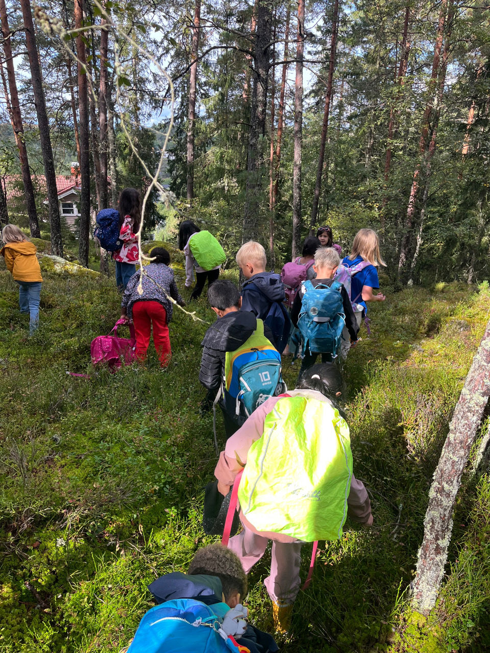 En gruppe mennesker som vandrer i skogen