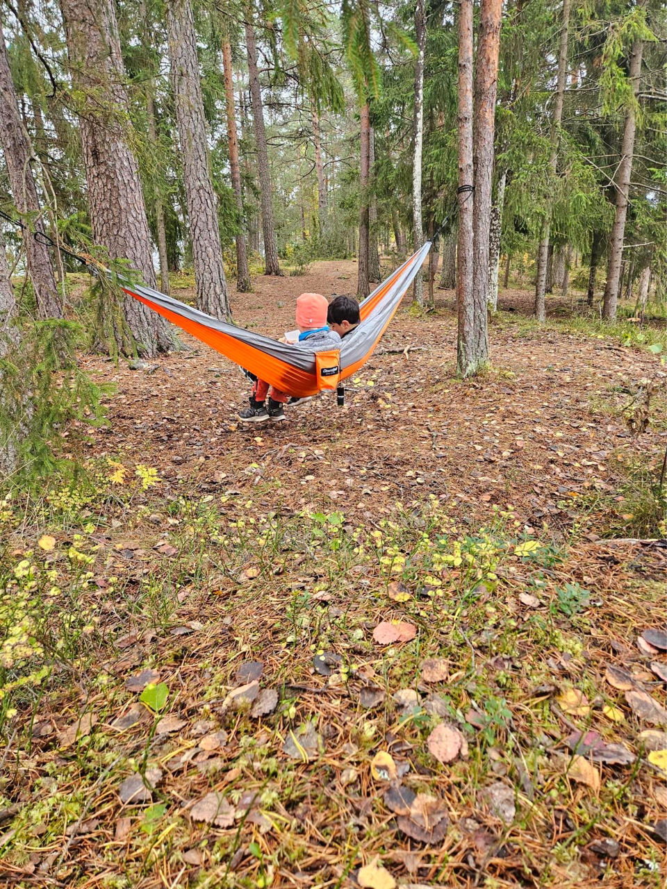 Foto: Marit Hauge Mansaray en person i en hengekøye i en skog