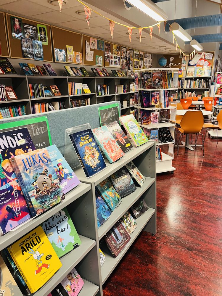 en butikk med bokhyller